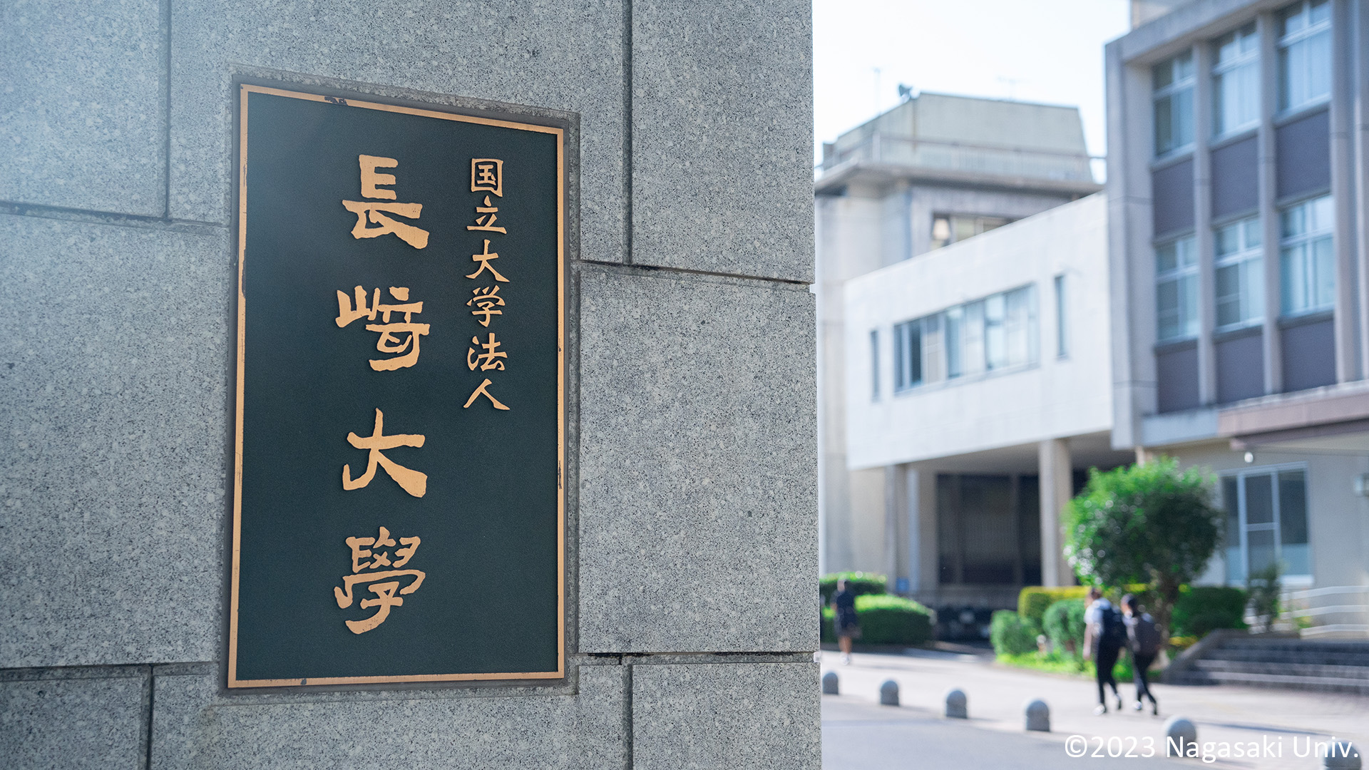 他社非AIチャットボットからChatPlus生成AI型へリニューアル。利用数が